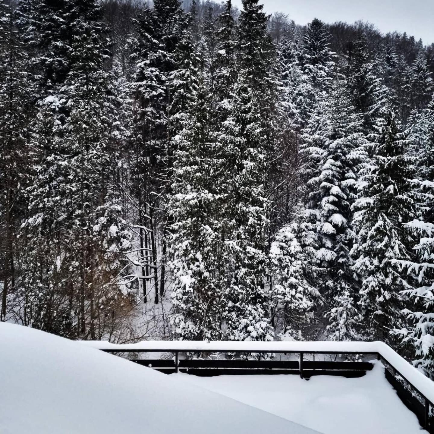 Willa Bliski Szczyrk Exteriör bild